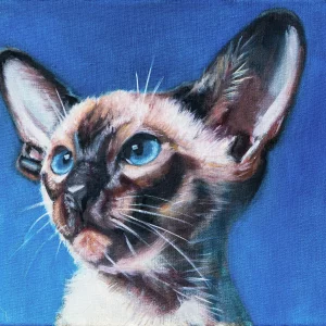 Cat In Blue