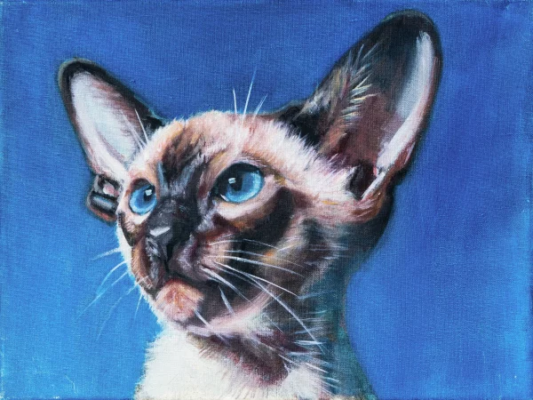 Cat In Blue
