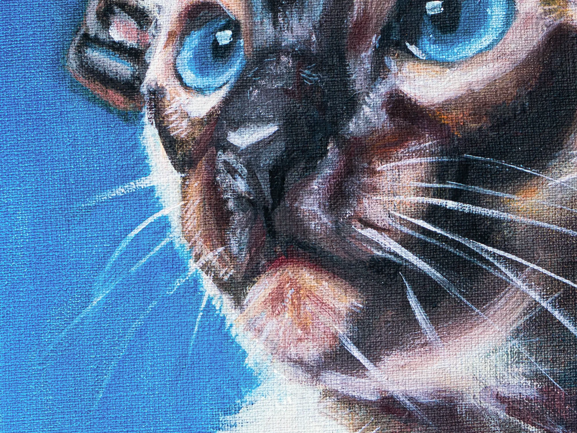 Cat In Blue - Image 2