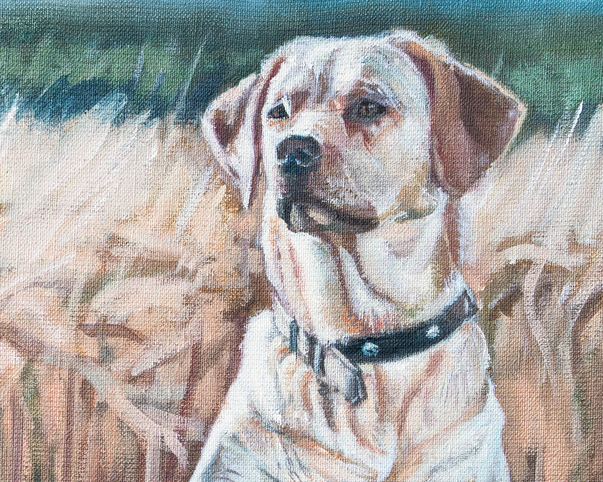 In The Field - Image 2